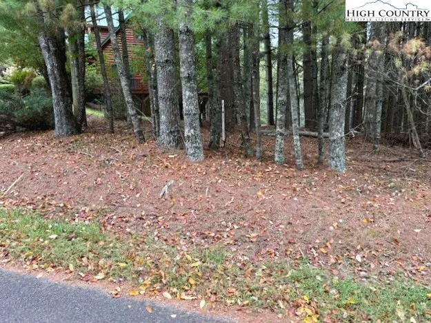 $25,000 | River Forest Road, Grassy Creek, NC 28631