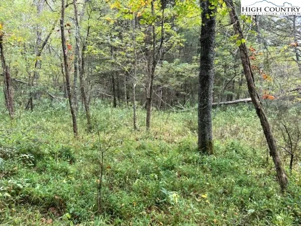 $25,000 | River Forest Road, Grassy Creek, NC 28631