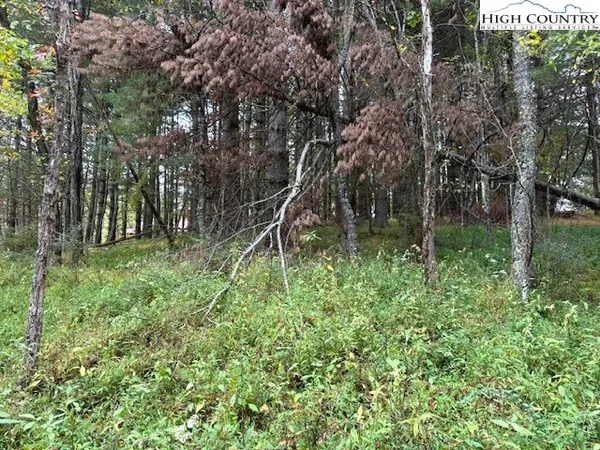 $25,000 | River Forest Road, Grassy Creek, NC 28631