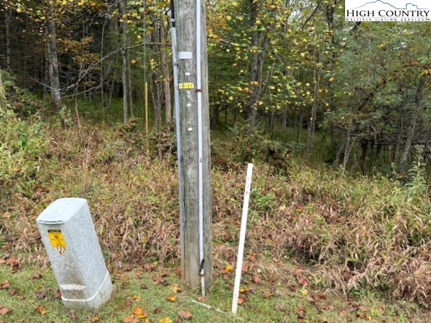 River Forest Road Grassy Creek, NC 28631 - Photo 7 of 10