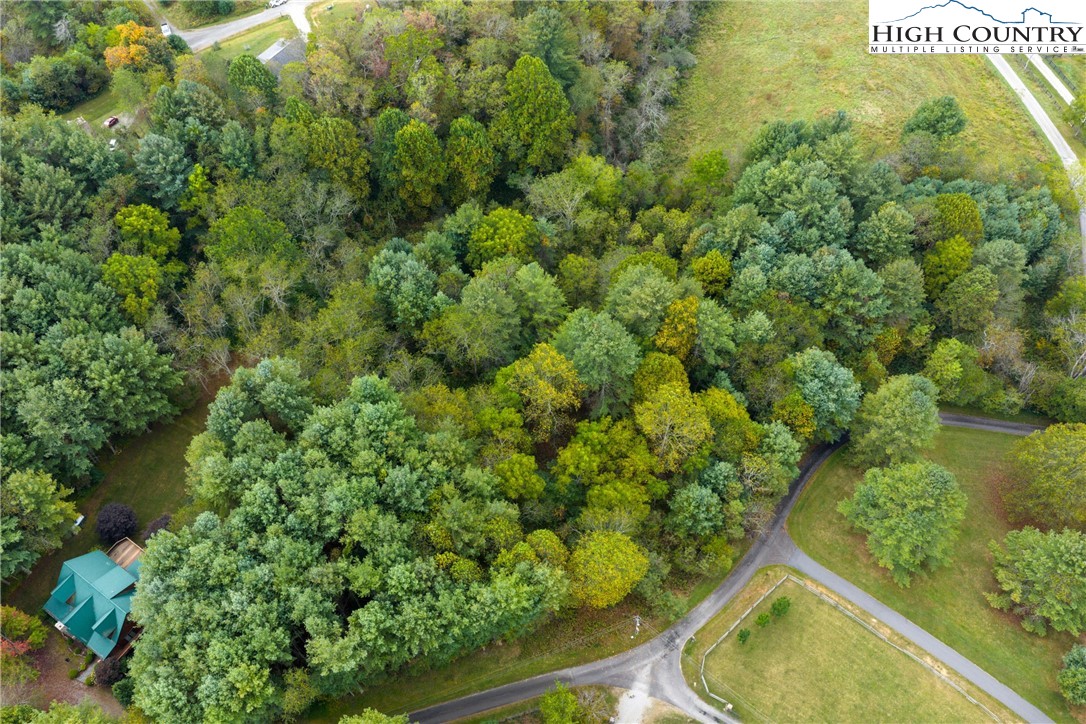 River Forest Road Grassy Creek, NC 28631 - Photo 10 of 10