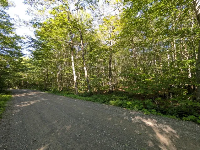 $110,000 | 0 Highland Drive, Unit 3, Montgomery Center, VT 05471