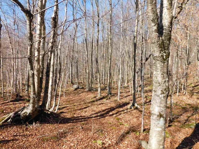 $110,000 | 0 Highland Drive, Unit 3, Montgomery Center, VT 05471