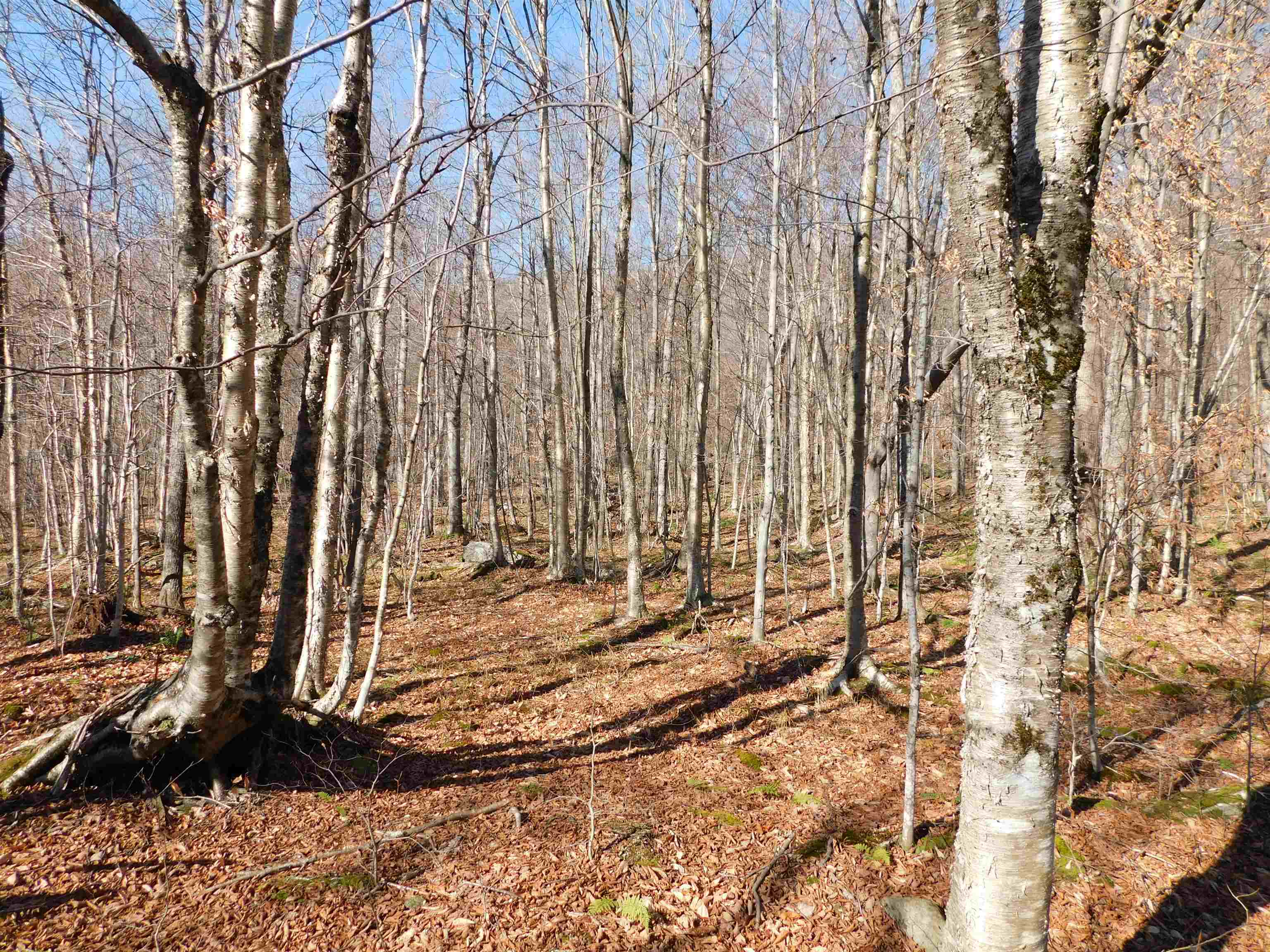 0 Highland Drive, Unit 3 Montgomery Center, VT 05471 - Photo 11 of 18