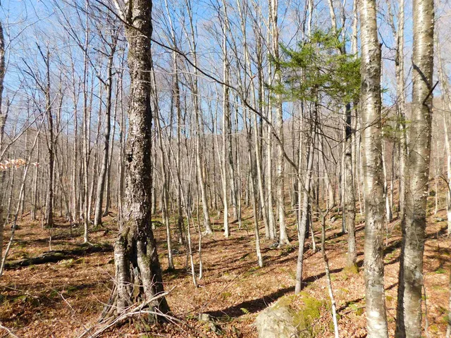 $110,000 | 0 Highland Drive, Unit 3, Montgomery Center, VT 05471