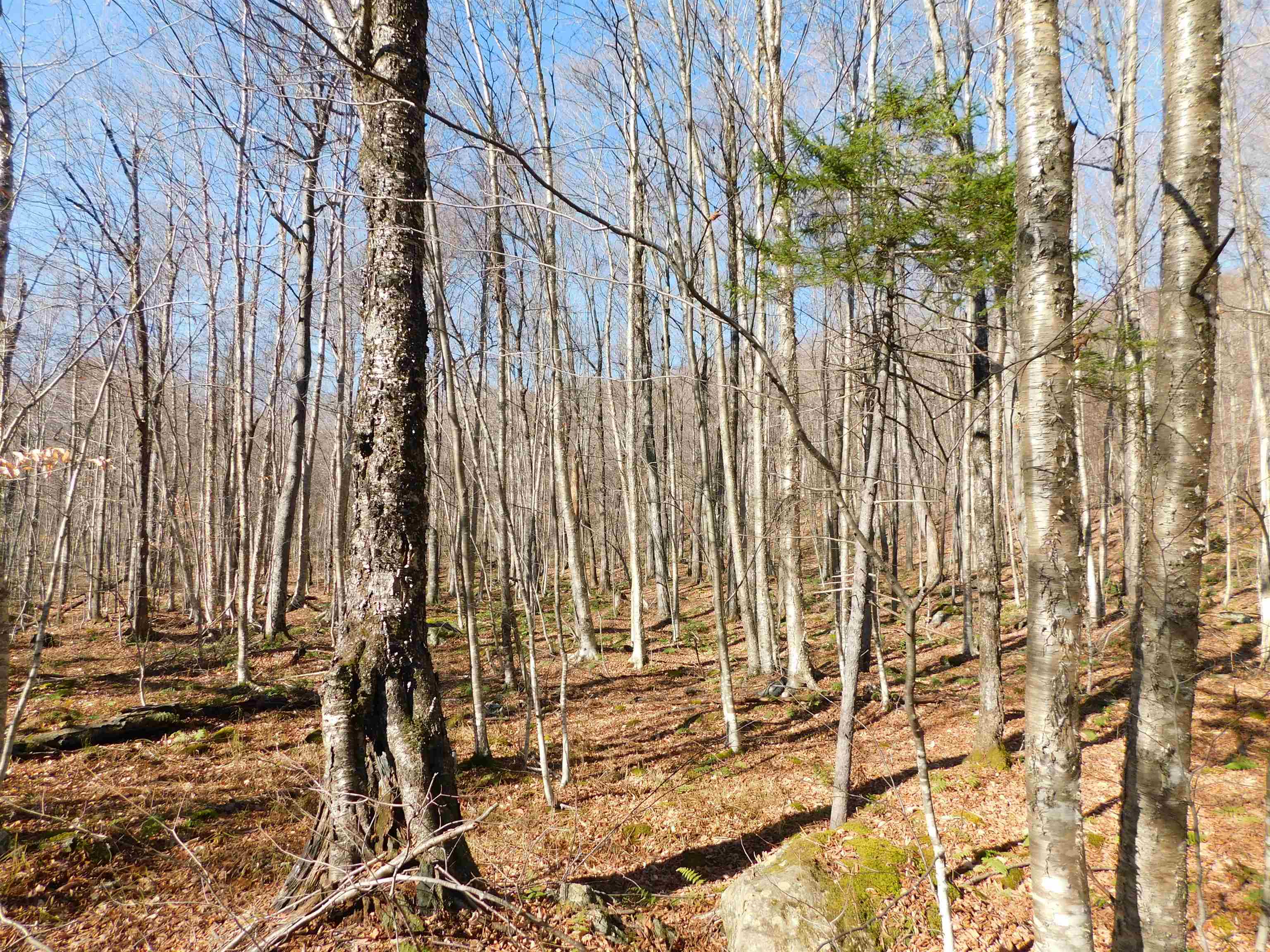 0 Highland Drive, Unit 3 Montgomery Center, VT 05471 - Photo 12 of 18