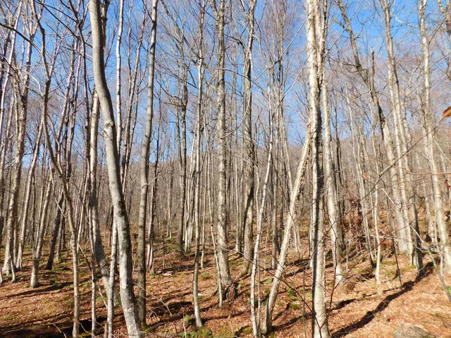 $110,000 | 0 Highland Drive, Unit 3, Montgomery Center, VT 05471