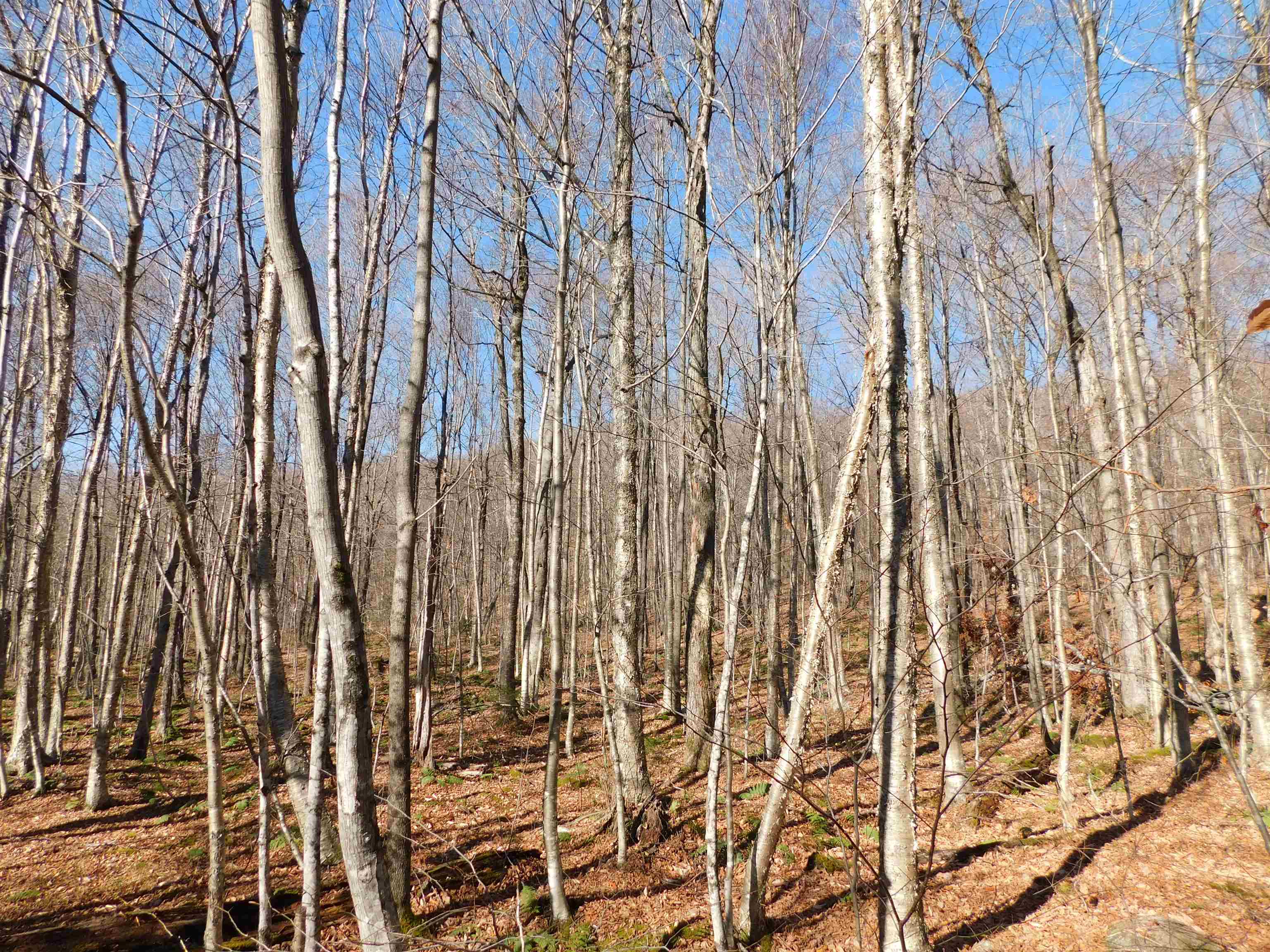 0 Highland Drive, Unit 3 Montgomery Center, VT 05471 - Photo 13 of 18