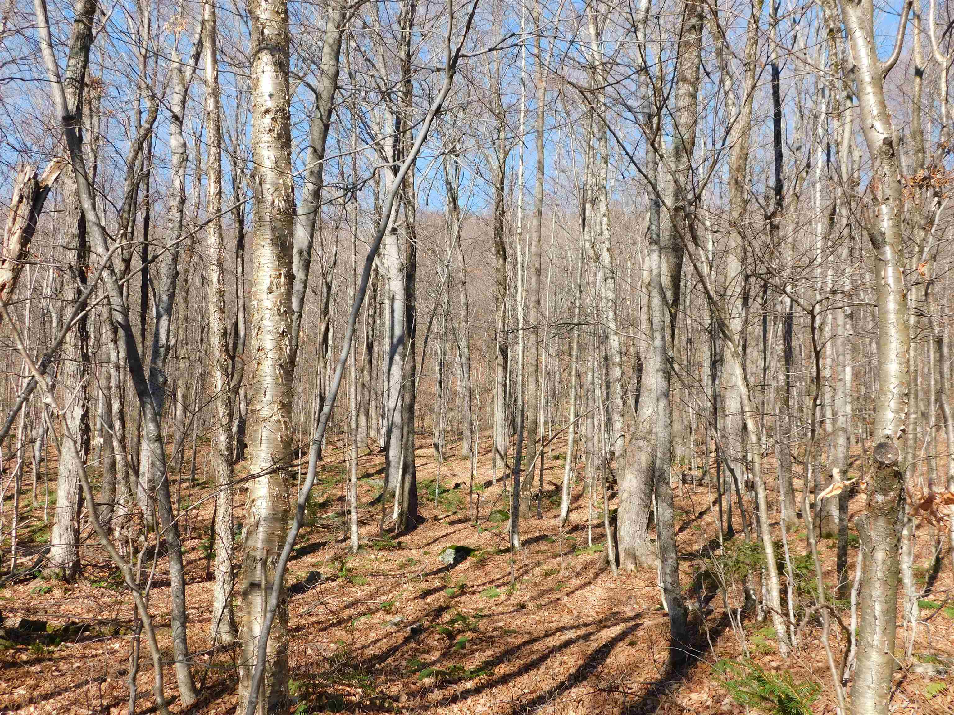 0 Highland Drive, Unit 3 Montgomery Center, VT 05471 - Photo 14 of 18