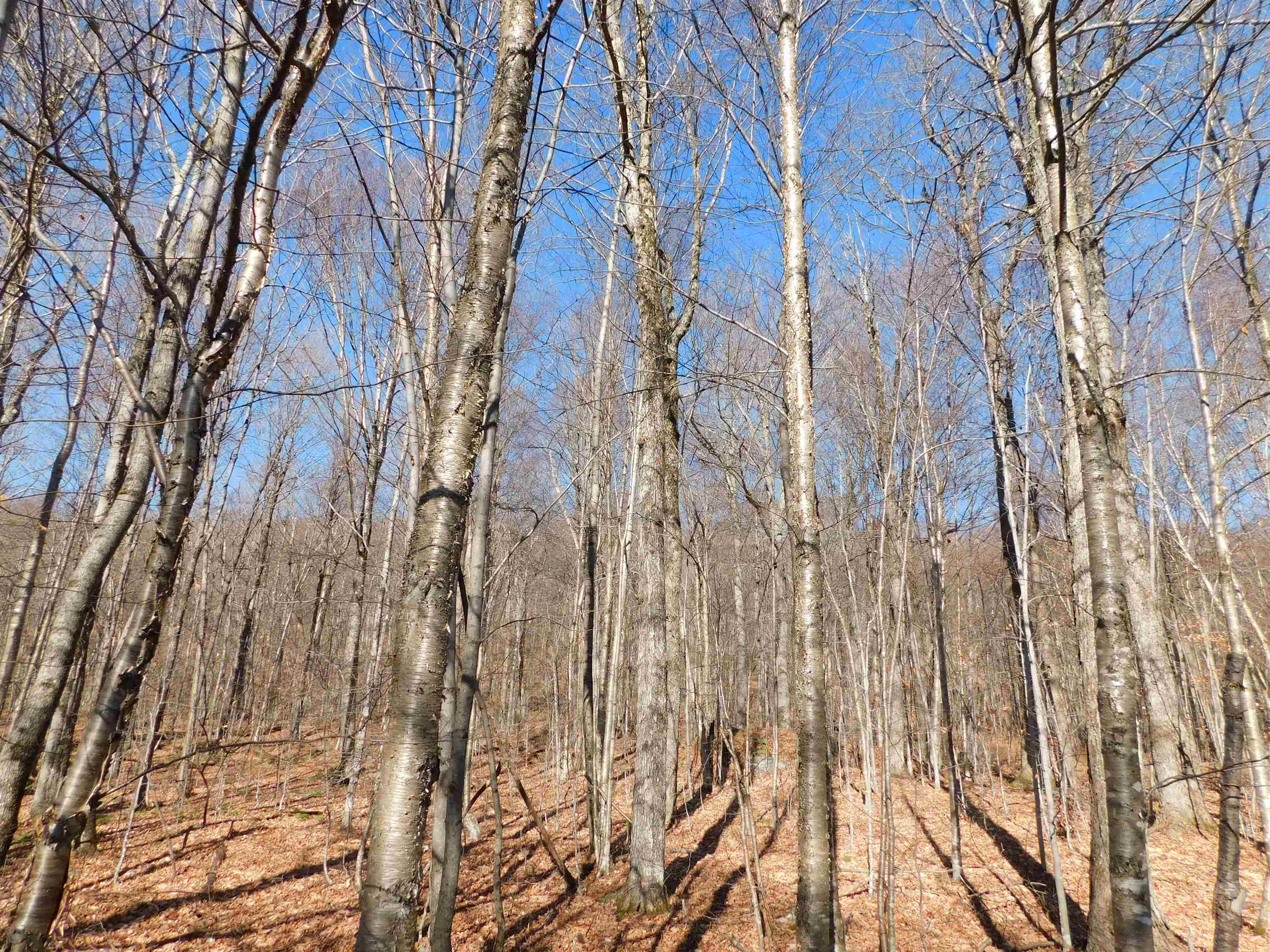 0 Highland Drive, Unit 3 Montgomery Center, VT 05471 - Photo 16 of 18