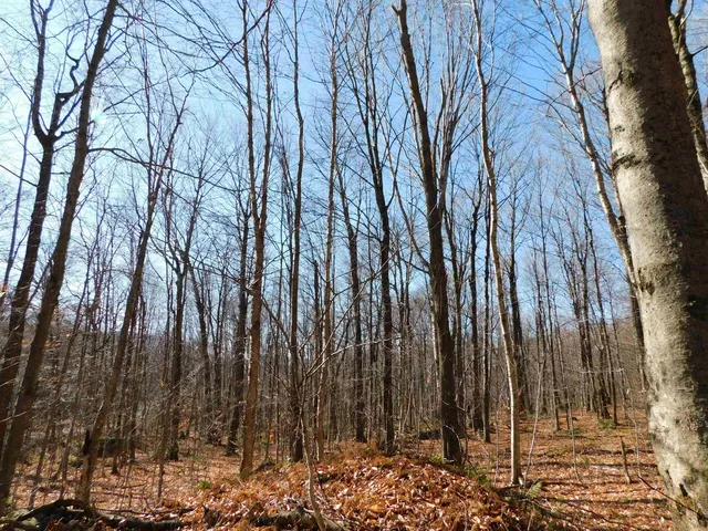 $110,000 | 0 Highland Drive, Unit 3, Montgomery Center, VT 05471