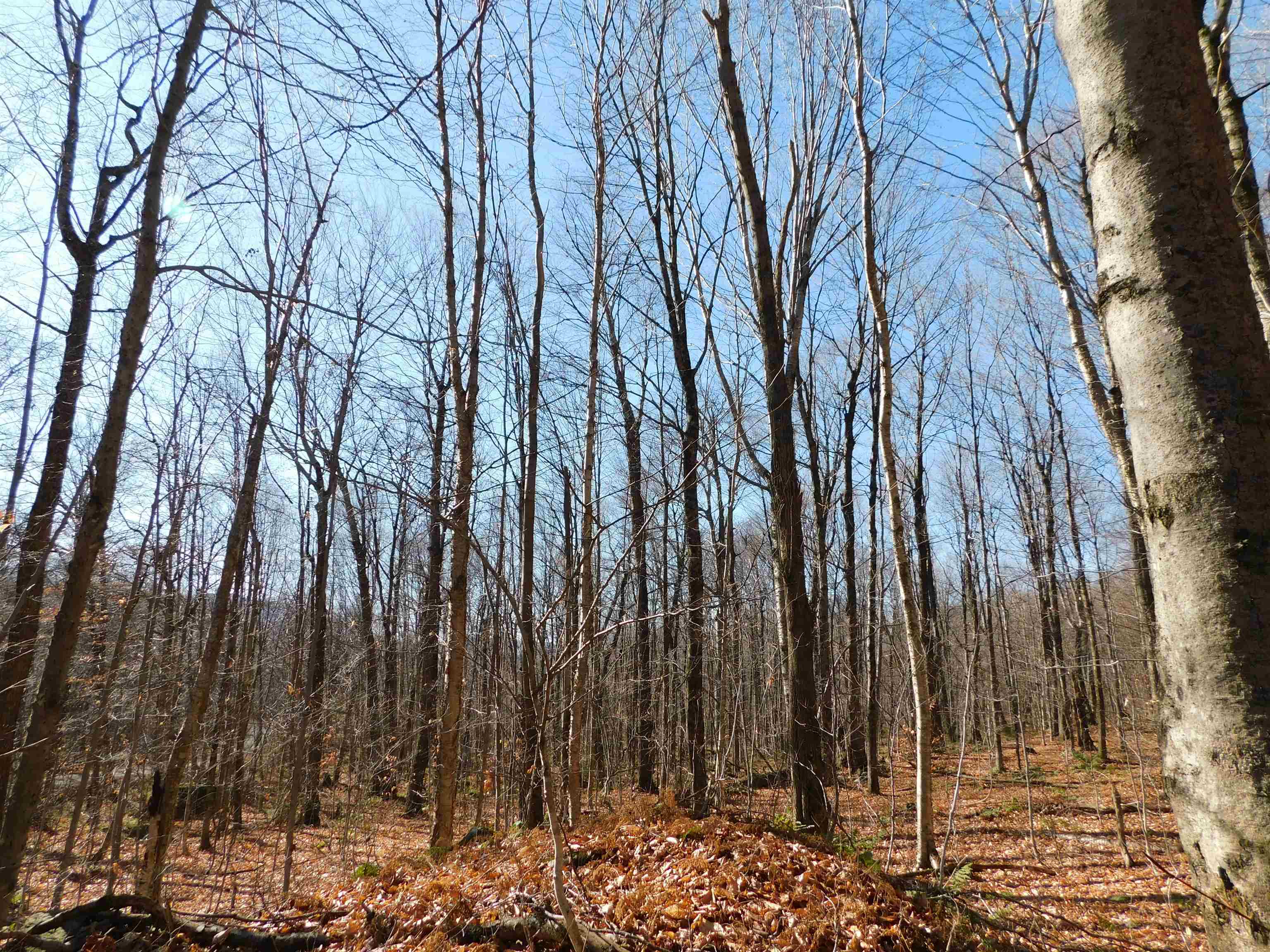 0 Highland Drive, Unit 3 Montgomery Center, VT 05471 - Photo 17 of 18