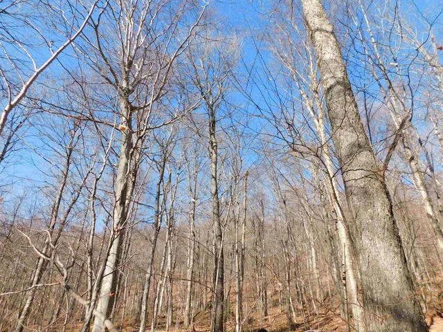 $110,000 | 0 Highland Drive, Unit 3, Montgomery Center, VT 05471