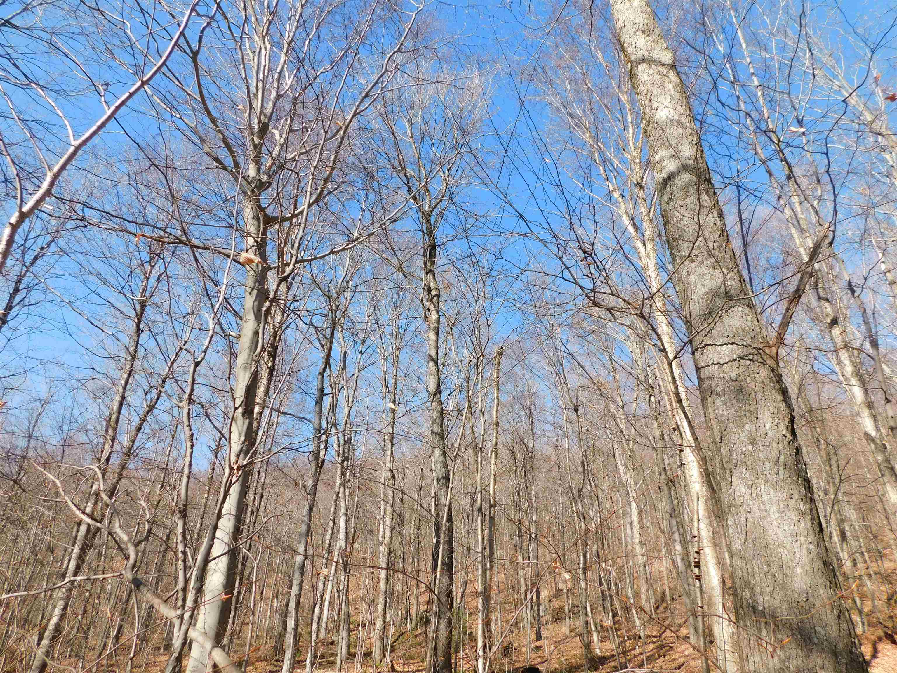 0 Highland Drive, Unit 3 Montgomery Center, VT 05471 - Photo 18 of 18