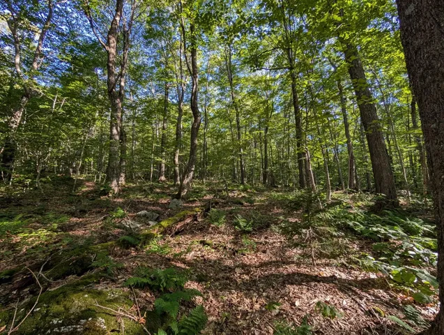 $110,000 | 0 Highland Drive, Unit 3, Montgomery Center, VT 05471