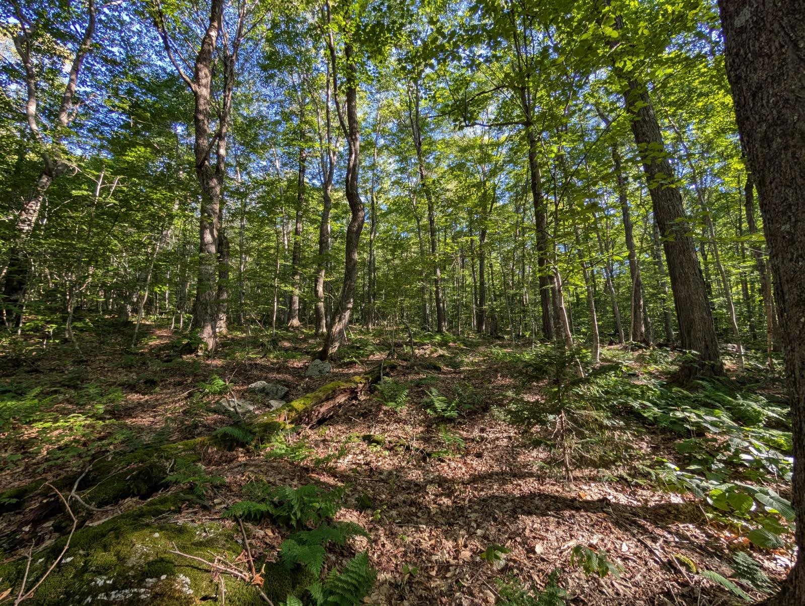 0 Highland Drive, Unit 3 Montgomery Center, VT 05471 - Photo 2 of 18