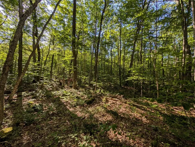 $110,000 | 0 Highland Drive, Unit 3, Montgomery Center, VT 05471