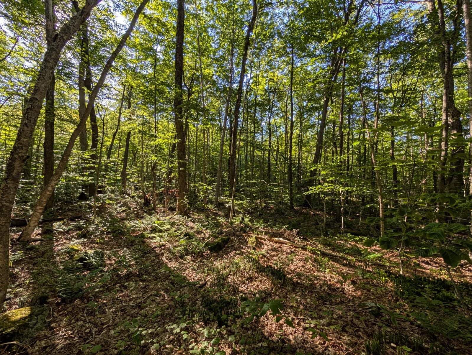 0 Highland Drive, Unit 3 Montgomery Center, VT 05471 - Photo 3 of 18