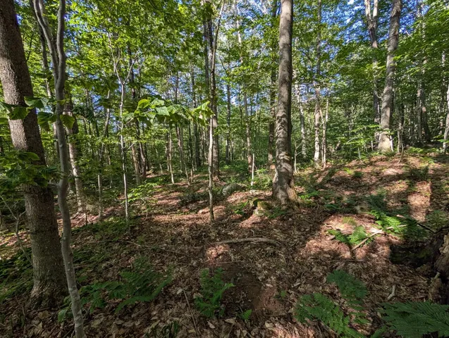 $110,000 | 0 Highland Drive, Unit 3, Montgomery Center, VT 05471