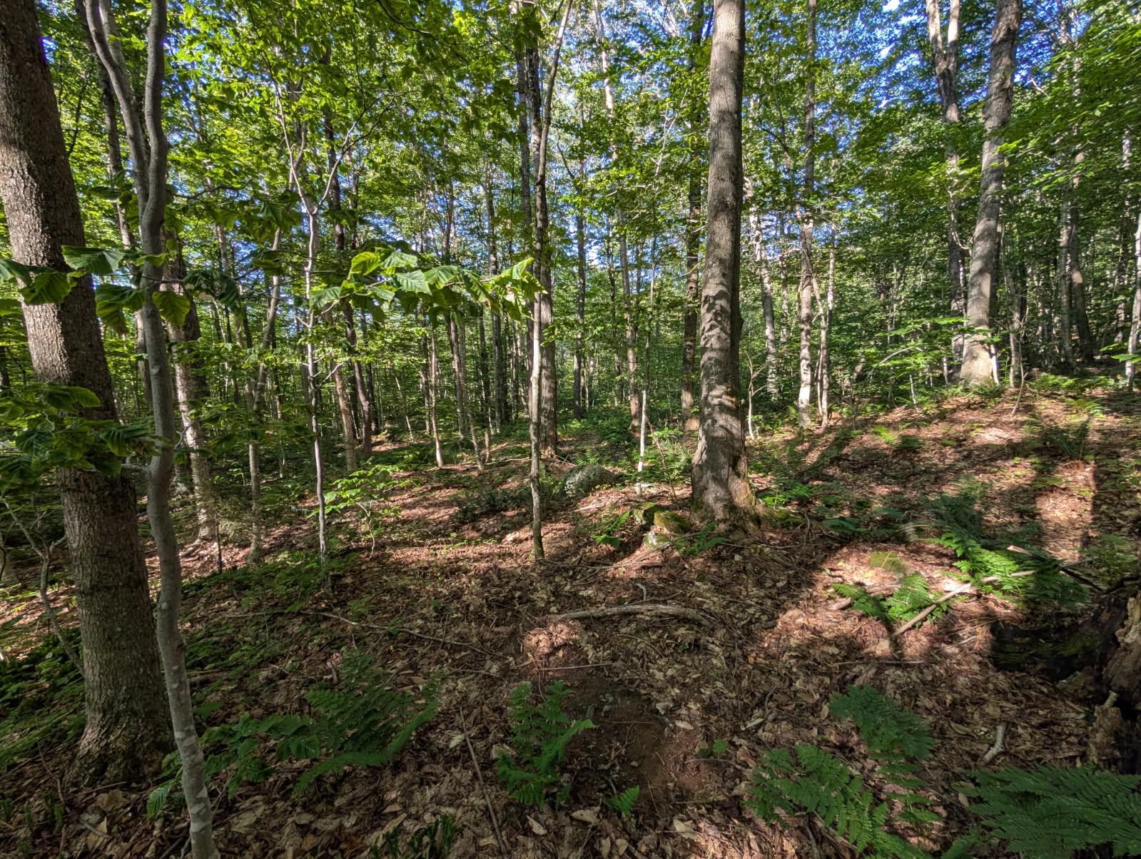 0 Highland Drive, Unit 3 Montgomery Center, VT 05471 - Photo 4 of 18