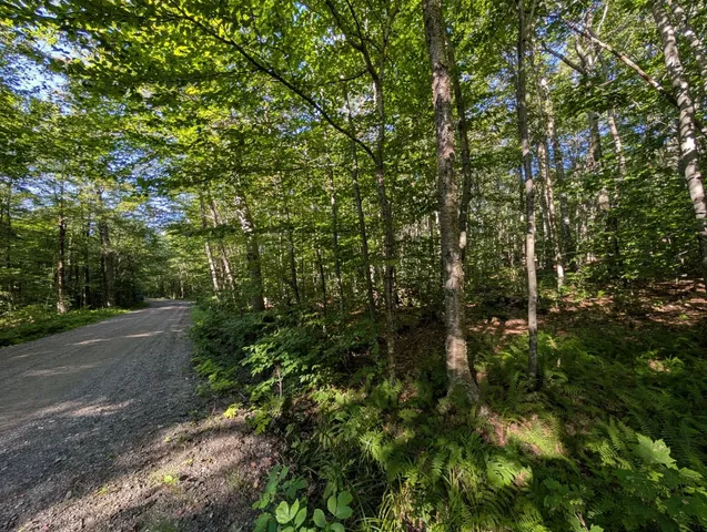 $110,000 | 0 Highland Drive, Unit 3, Montgomery Center, VT 05471