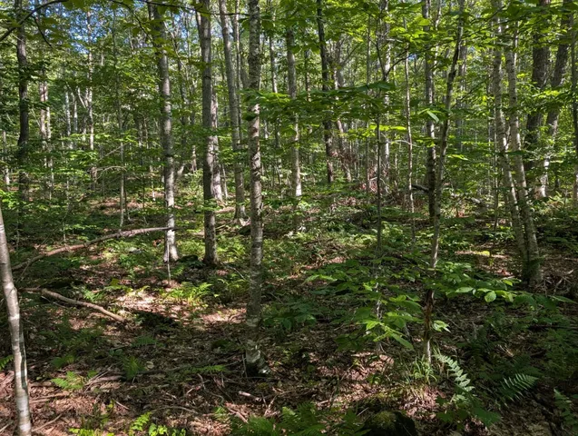 $110,000 | 0 Highland Drive, Unit 3, Montgomery Center, VT 05471