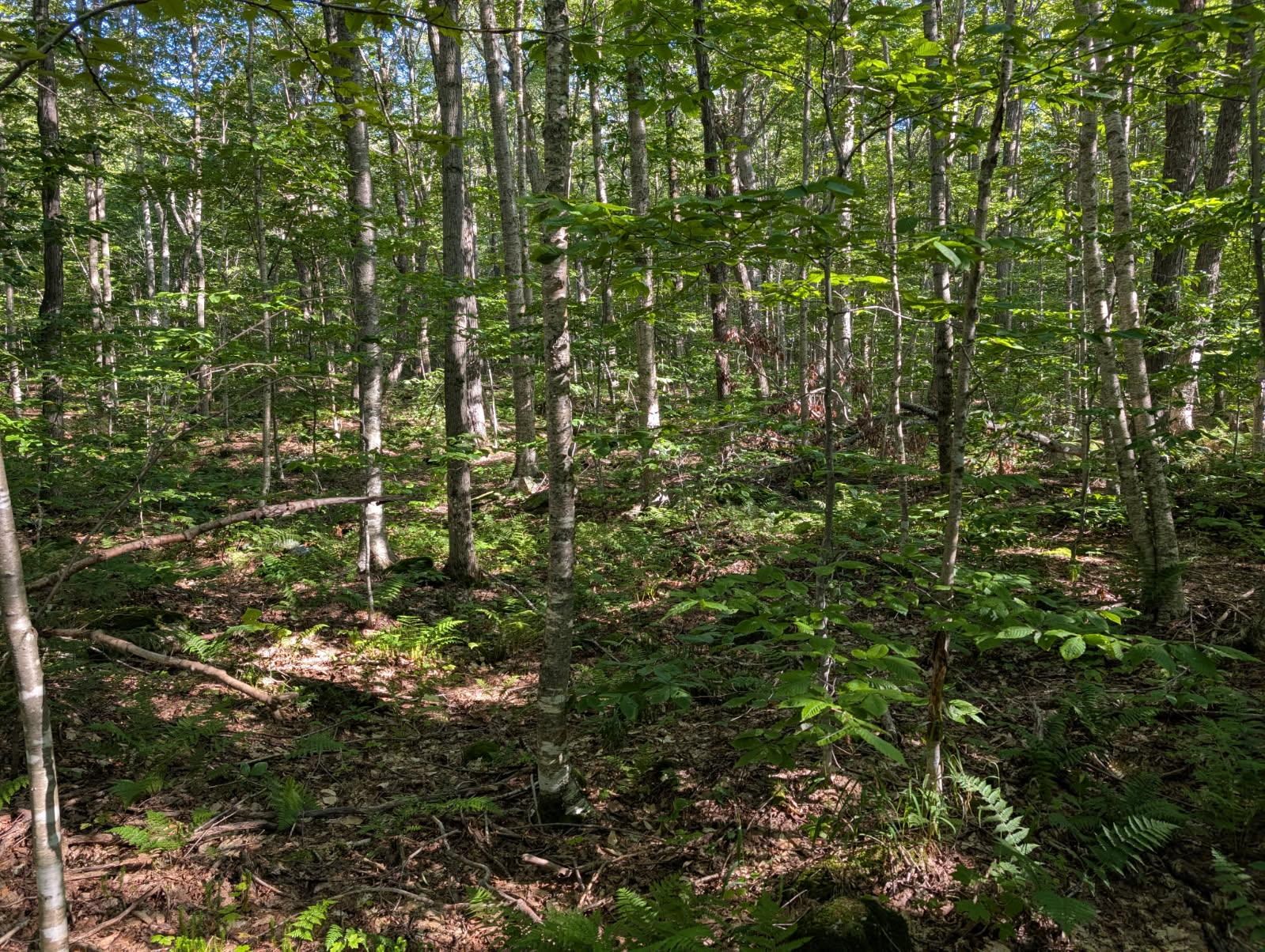 0 Highland Drive, Unit 3 Montgomery Center, VT 05471 - Photo 6 of 18