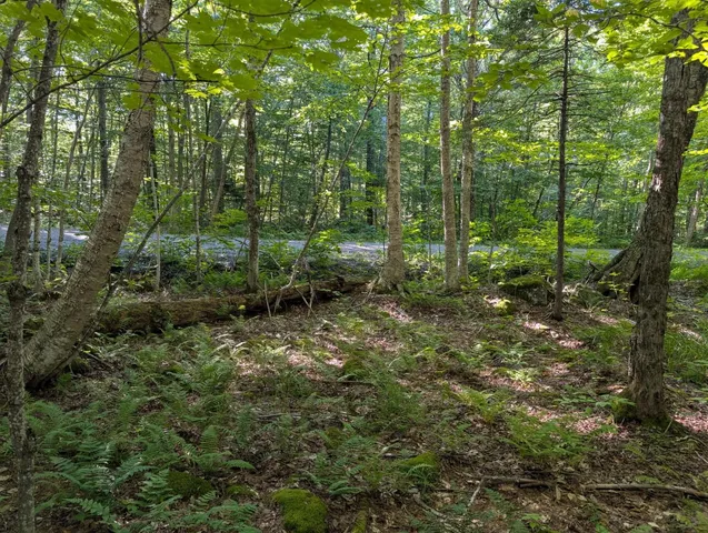 $110,000 | 0 Highland Drive, Unit 3, Montgomery Center, VT 05471