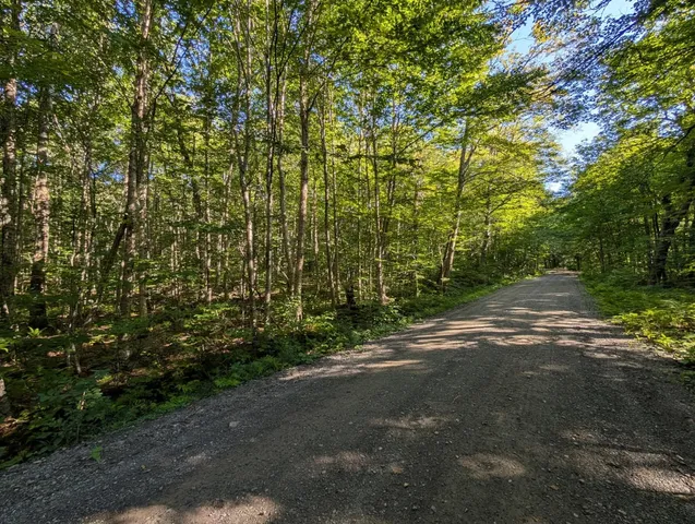 $110,000 | 0 Highland Drive, Unit 3, Montgomery Center, VT 05471