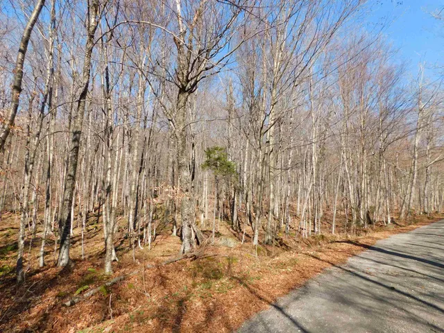 $110,000 | 0 Highland Drive, Unit 3, Montgomery Center, VT 05471