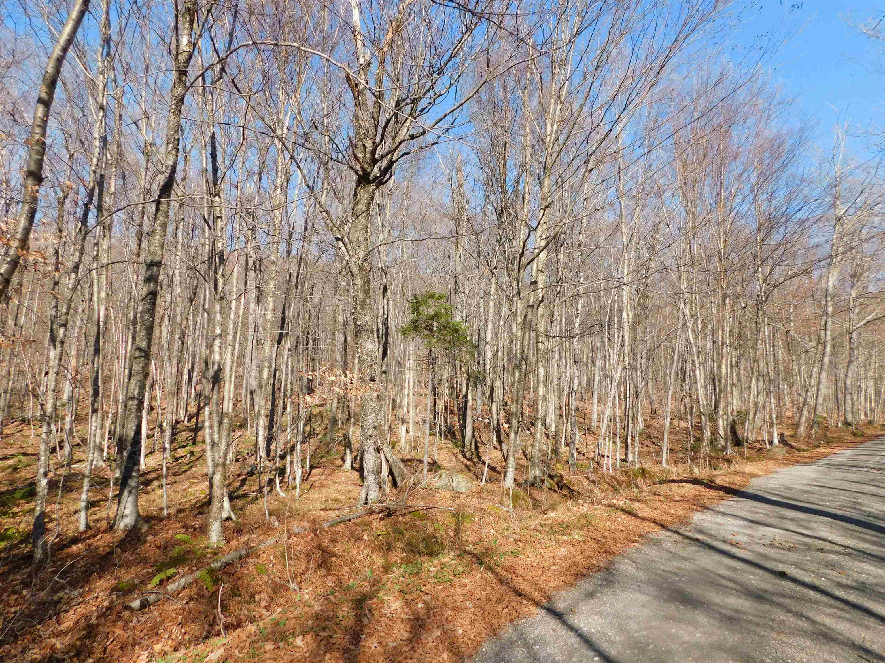 0 Highland Drive, Unit 3 Montgomery Center, VT 05471 - Photo 10 of 18