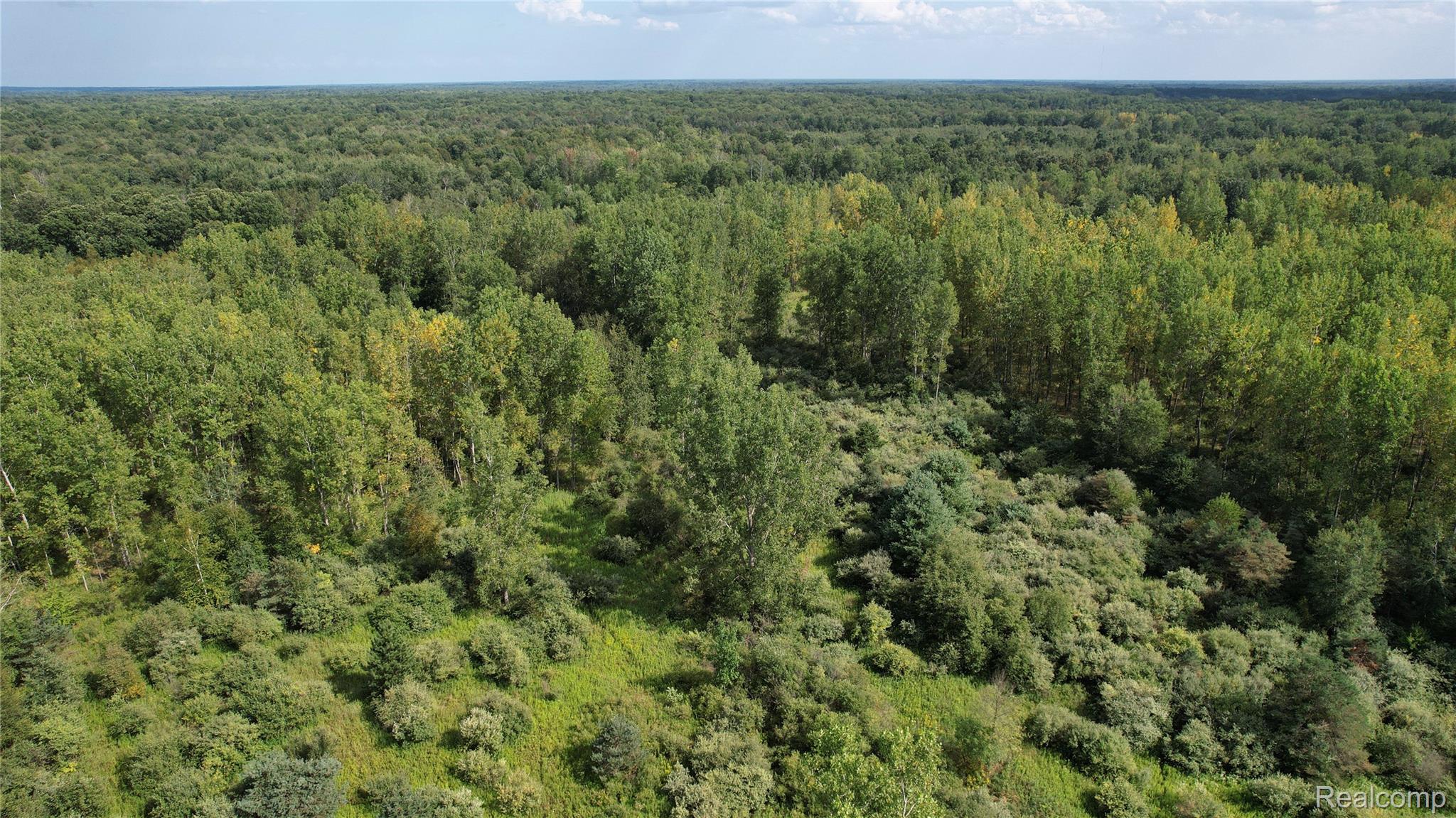 2901 Lyle Road Beaverton, MI 48612 - Photo 18 of 22 DJI_0274.jpg