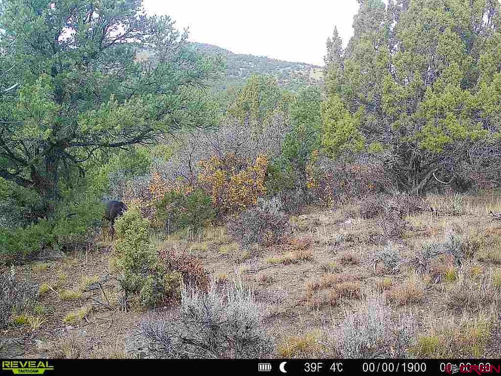 Tbd Tbd Road Montrose, CO 81401 - Photo 29 of 31 Gallery Image 29