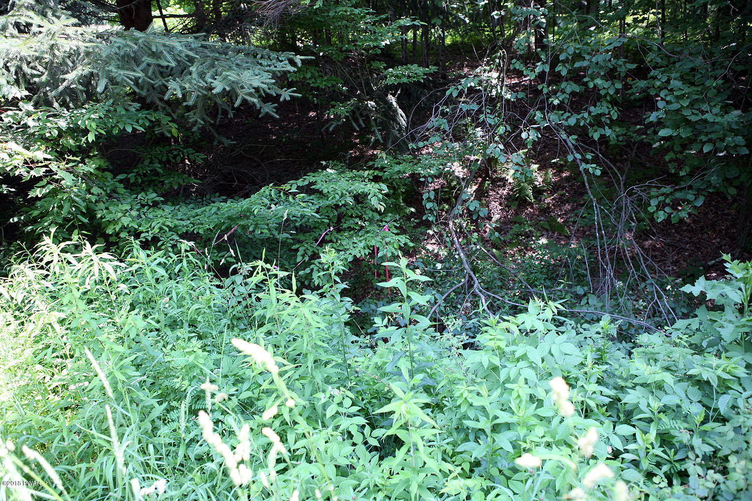 0 Callicoon Road Damascus, PA 18415 - Photo 2 of 20 07 02 18 132 - Copy