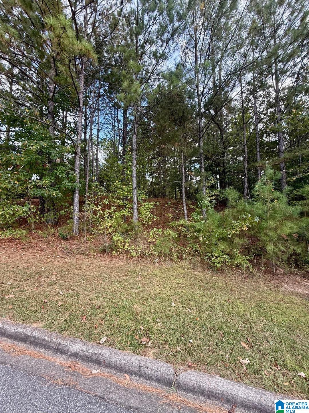 325 Deer Ridge Lane, Unit 29 Chelsea, AL 35043 - Photo 2 of 17