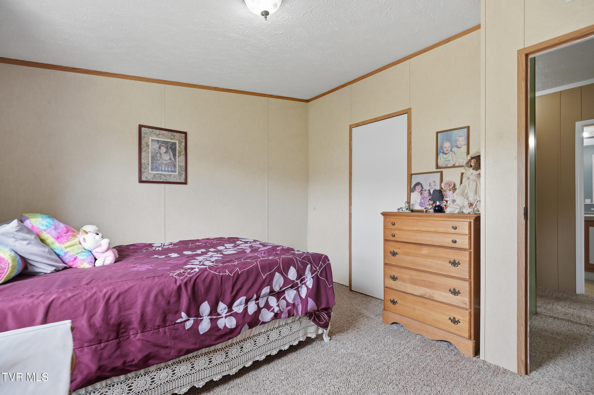 740 Happy Valley Road Limestone, TN 37681 - Photo 29 of 37 27_740 happy valley rd-13