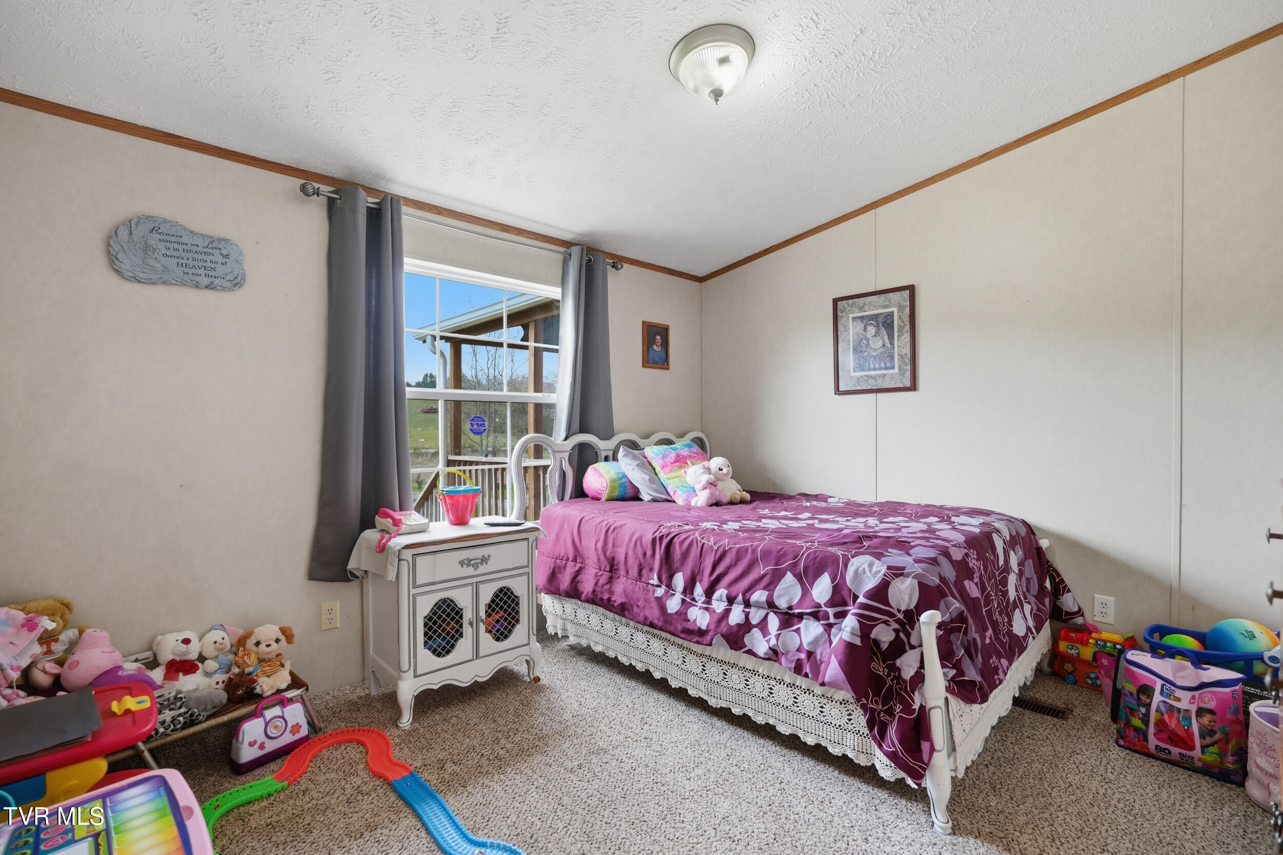 740 Happy Valley Road Limestone, TN 37681 - Photo 30 of 37 26_740 happy valley rd-11