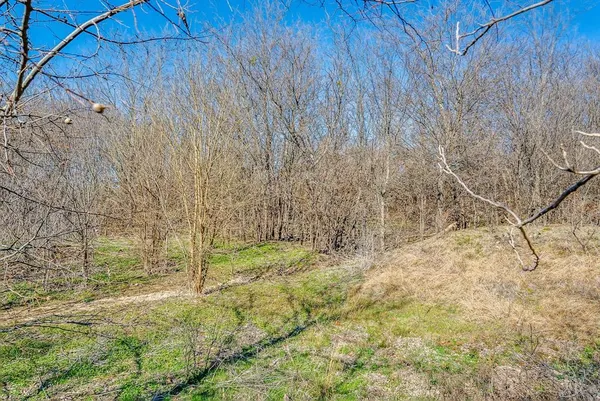 $998,000 | 171 Cresson Tx 76035, Cresson, TX 76035