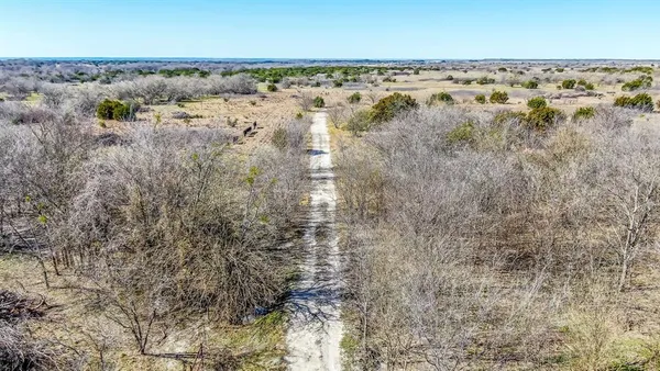 a view of a dry yard with trees in the background