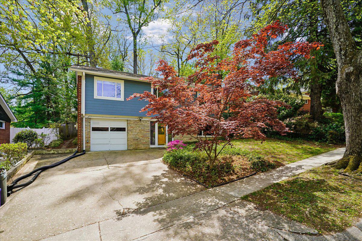 104 Belton Road Silver Spring, MD 20901 - Photo 3 of 56 a front view of a house with garden