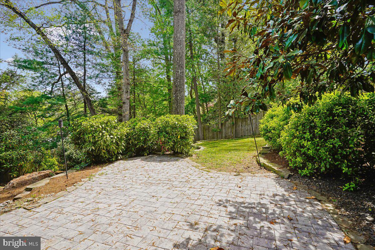 104 Belton Road Silver Spring, MD 20901 - Photo 47 of 56 a view of a yard with plants and large trees