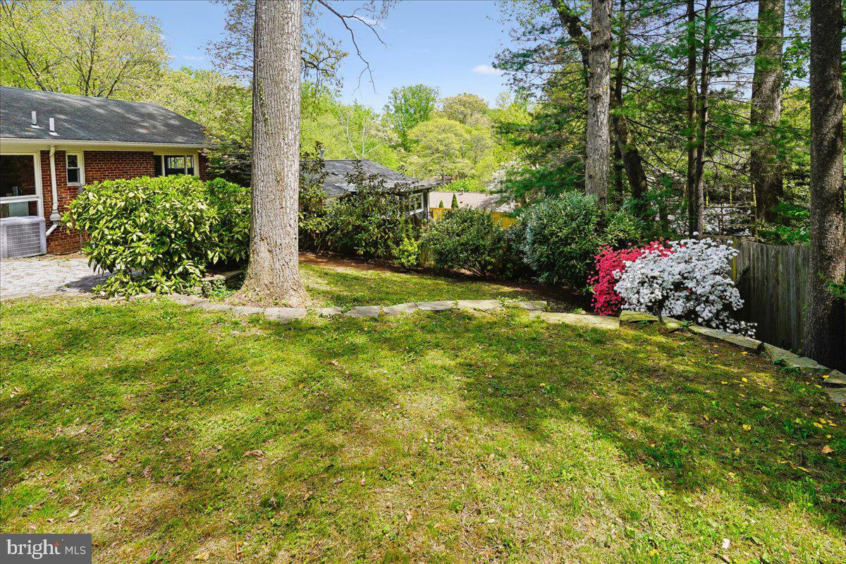 104 Belton Road Silver Spring, MD 20901 - Photo 51 of 56 a view of a backyard with a garden