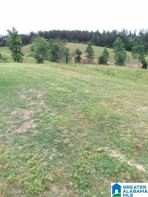 680 Glaze Creek Road Bessemer, AL 35023 - Photo 2 of 21