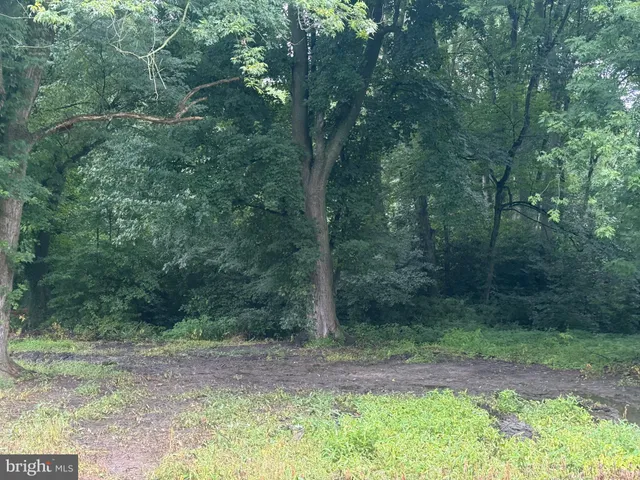 a view of backyard with green space