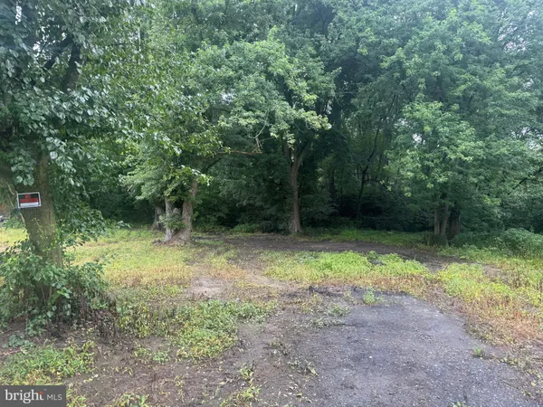 a view of outdoor space and trees
