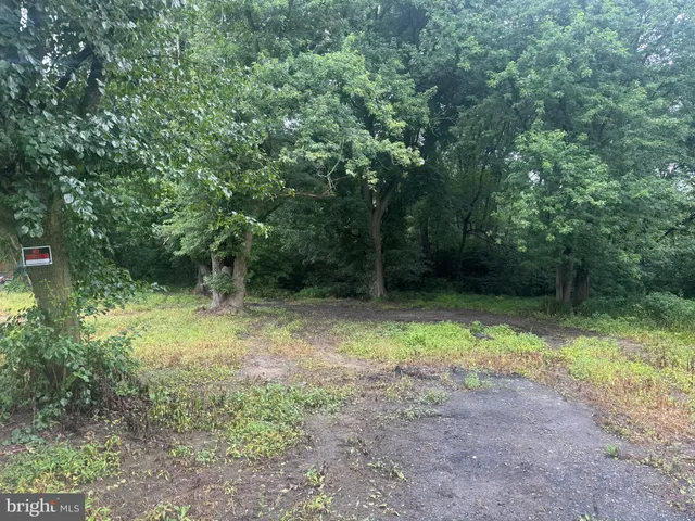 a view of outdoor space and trees