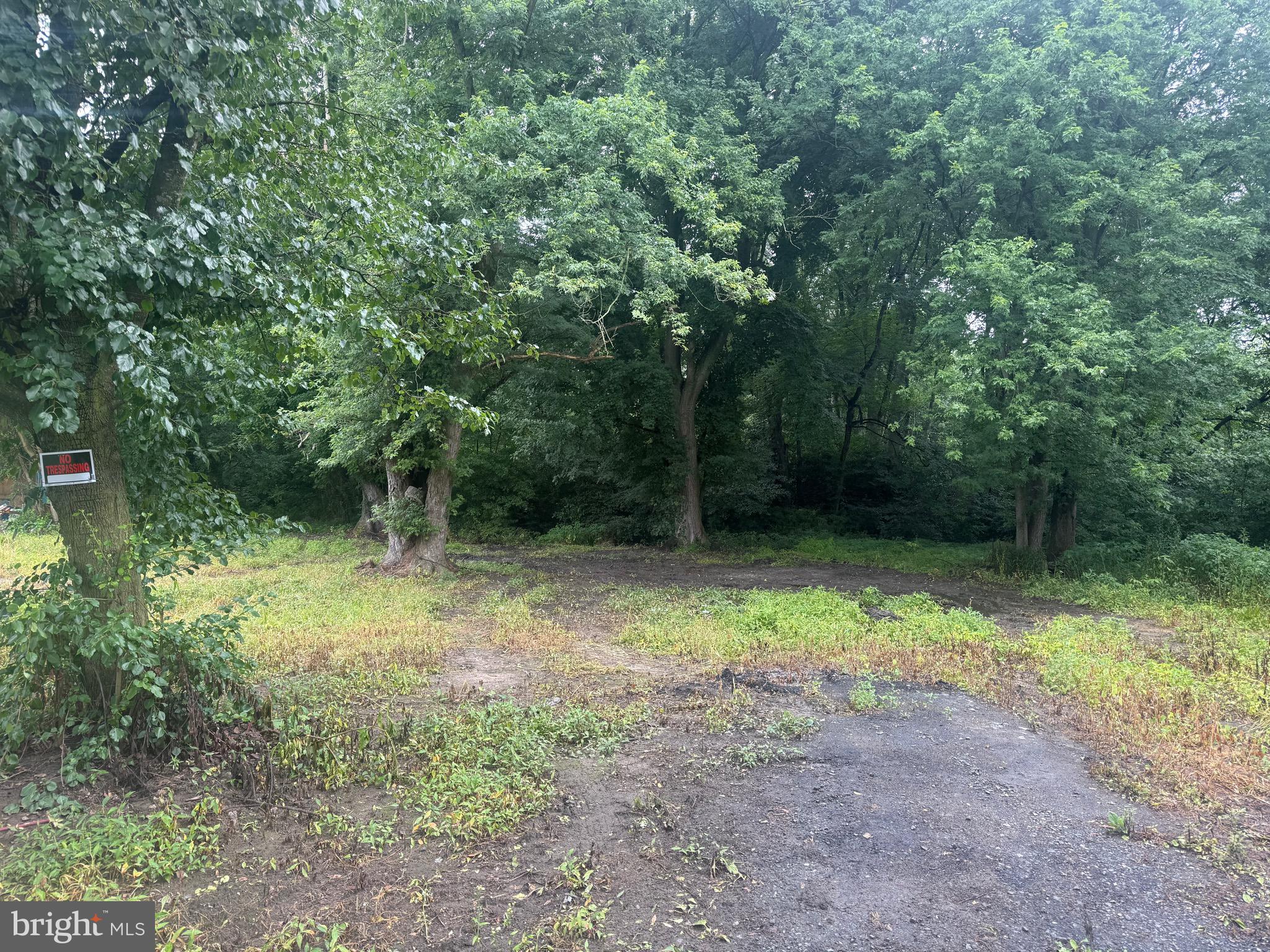 10440 Burrsville Road Denton, MD 21629 - Photo 4 of 9 a view of outdoor space and trees