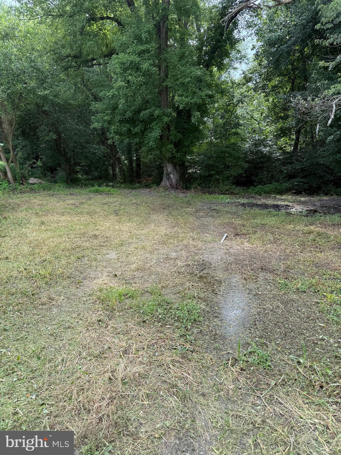 10440 Burrsville Road Denton, MD 21629 - Photo 6 of 9 a view of outdoor space and yard