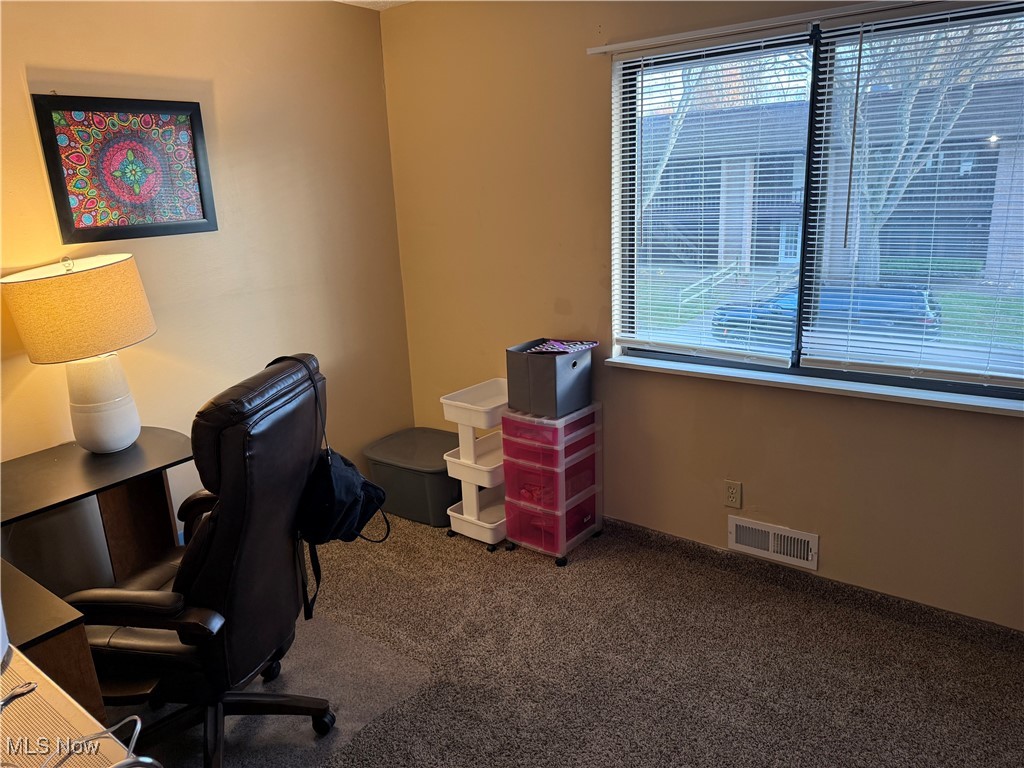 9956 Johnnycake Ridge Road, Unit A09 Painesville, OH 44077 - Photo 14 of 22 Gallery Image 14