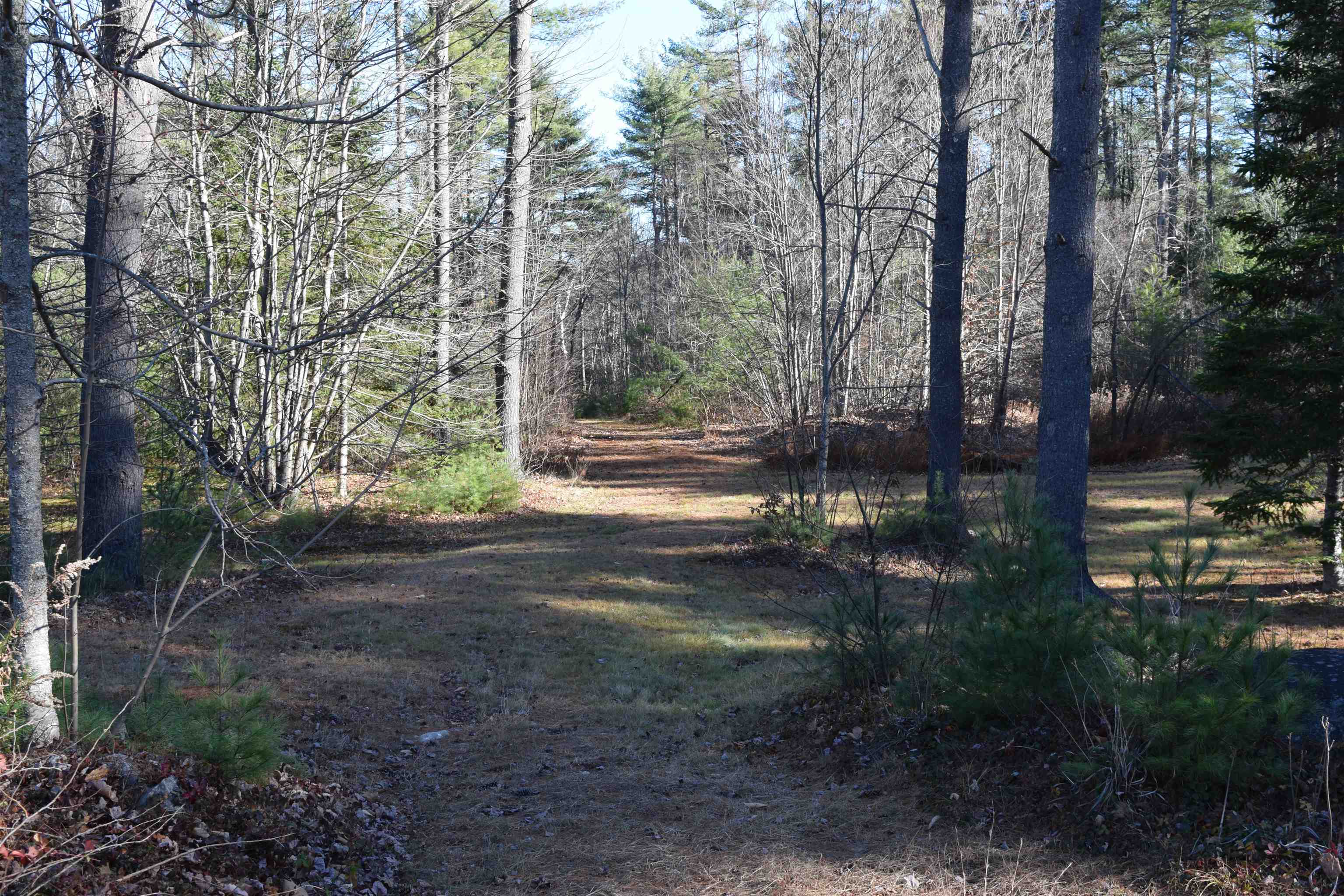 968 Province Lake Road Effingham, NH 03882 - Photo 26 of 32